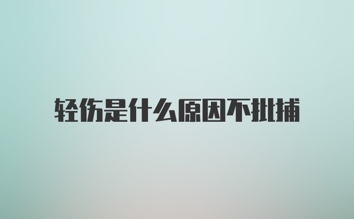 轻伤是什么原因不批捕