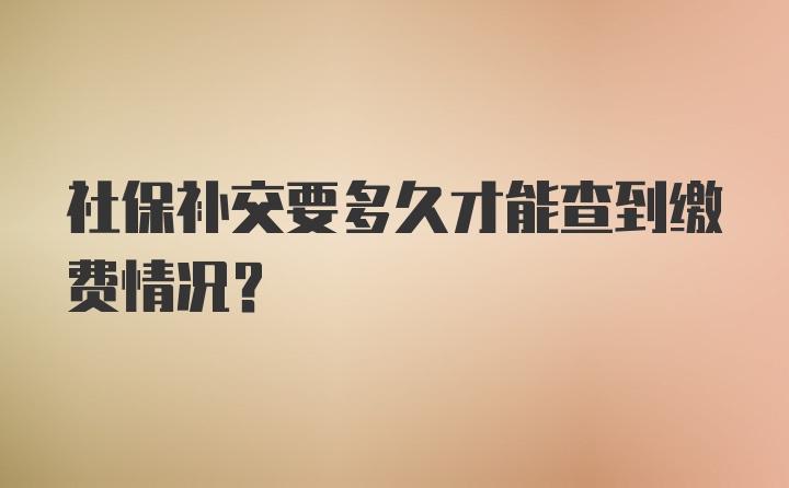 社保补交要多久才能查到缴费情况？