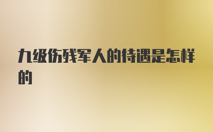 九级伤残军人的待遇是怎样的