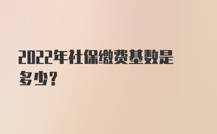 2022年社保缴费基数是多少？