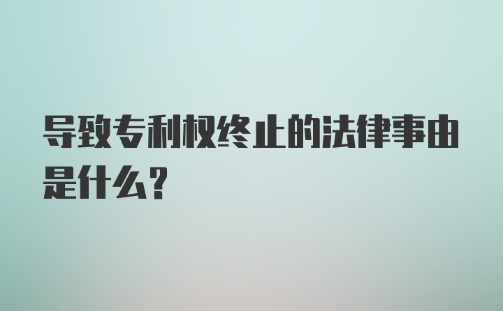 导致专利权终止的法律事由是什么？