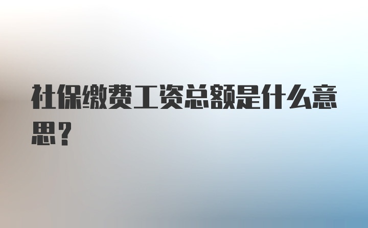 社保缴费工资总额是什么意思？