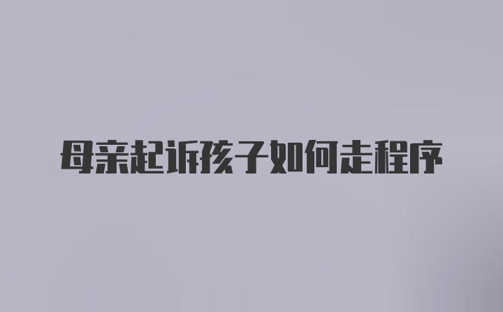 母亲起诉孩子如何走程序