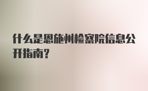 什么是恩施州检察院信息公开指南？