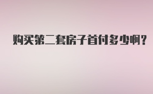 购买第二套房子首付多少啊？