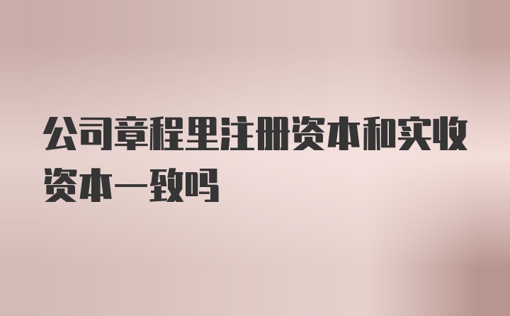 公司章程里注册资本和实收资本一致吗