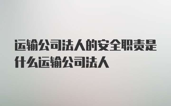 运输公司法人的安全职责是什么运输公司法人