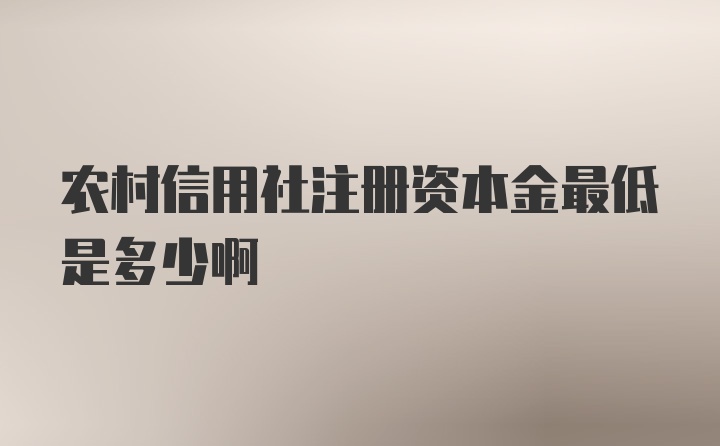 农村信用社注册资本金最低是多少啊