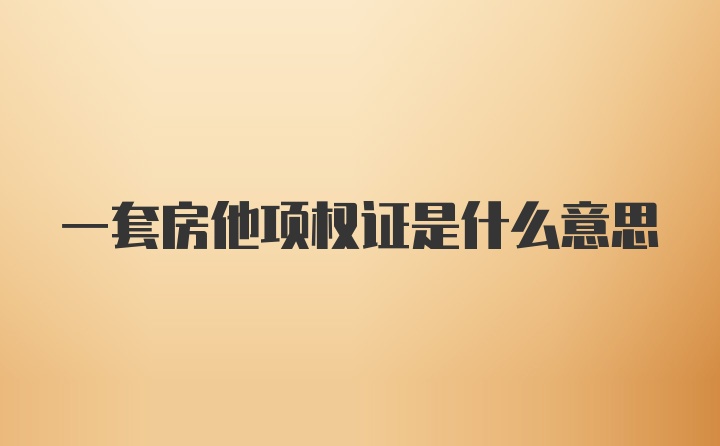 一套房他项权证是什么意思