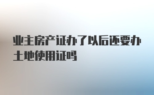 业主房产证办了以后还要办土地使用证吗