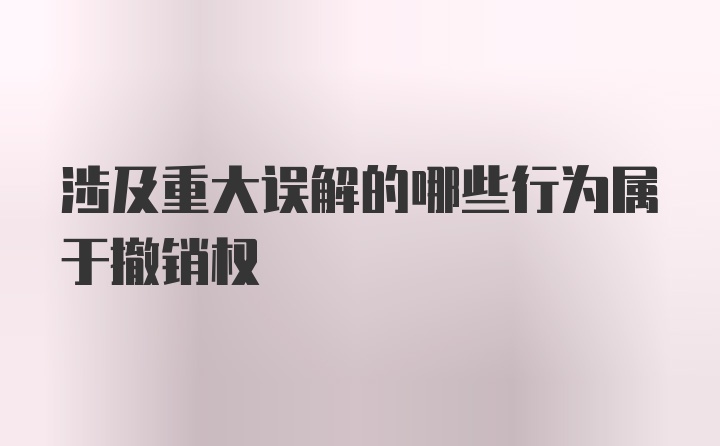 涉及重大误解的哪些行为属于撤销权