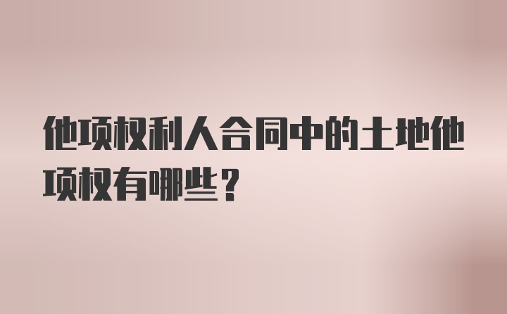 他项权利人合同中的土地他项权有哪些?