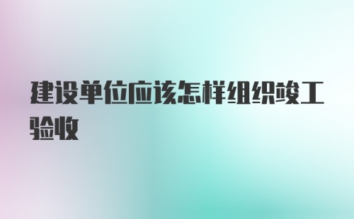 建设单位应该怎样组织竣工验收