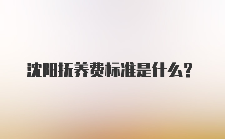 沈阳抚养费标准是什么？