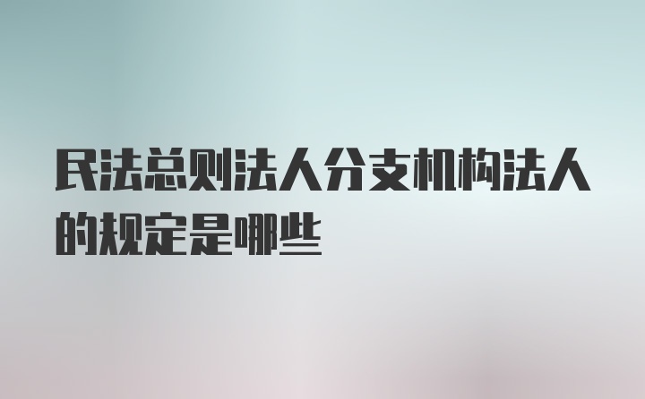 民法总则法人分支机构法人的规定是哪些