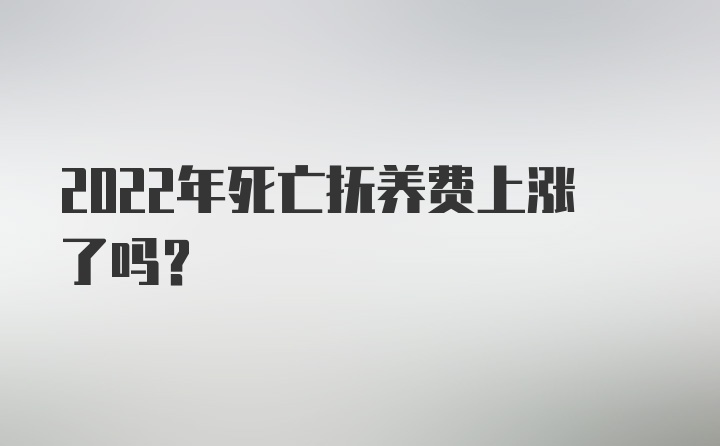 2022年死亡抚养费上涨了吗？