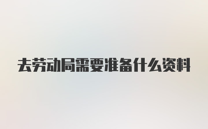 去劳动局需要准备什么资料