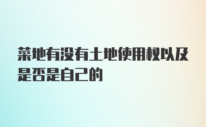 菜地有没有土地使用权以及是否是自己的