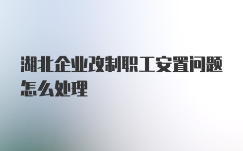 湖北企业改制职工安置问题怎么处理