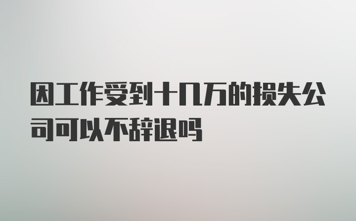 因工作受到十几万的损失公司可以不辞退吗