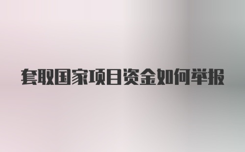 套取国家项目资金如何举报