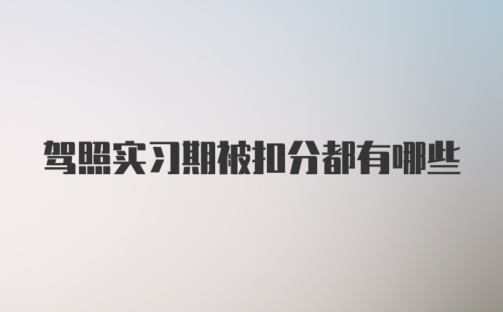 驾照实习期被扣分都有哪些