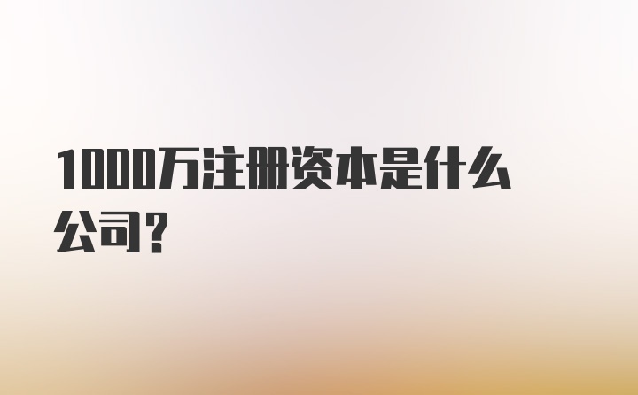 1000万注册资本是什么公司?