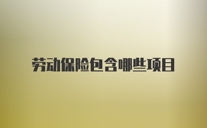劳动保险包含哪些项目