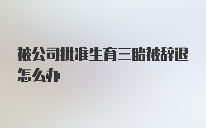 被公司批准生育三胎被辞退怎么办