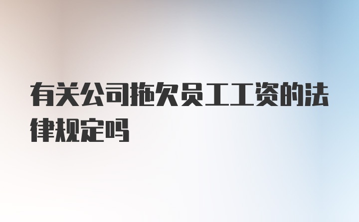 有关公司拖欠员工工资的法律规定吗