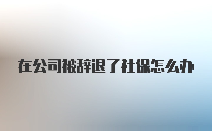 在公司被辞退了社保怎么办