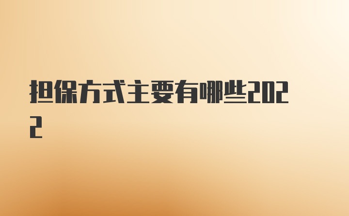 担保方式主要有哪些2022