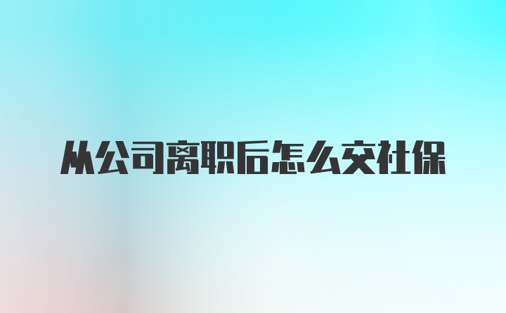 从公司离职后怎么交社保