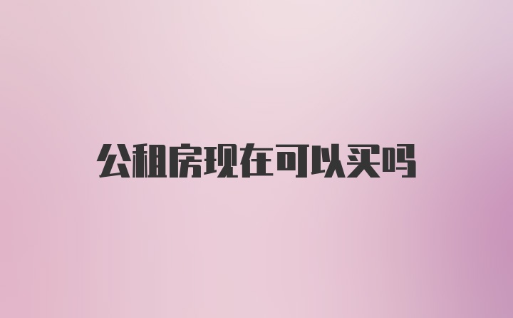 公租房现在可以买吗