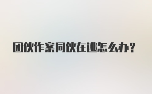 团伙作案同伙在逃怎么办？