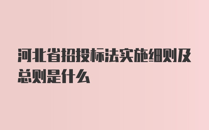 河北省招投标法实施细则及总则是什么