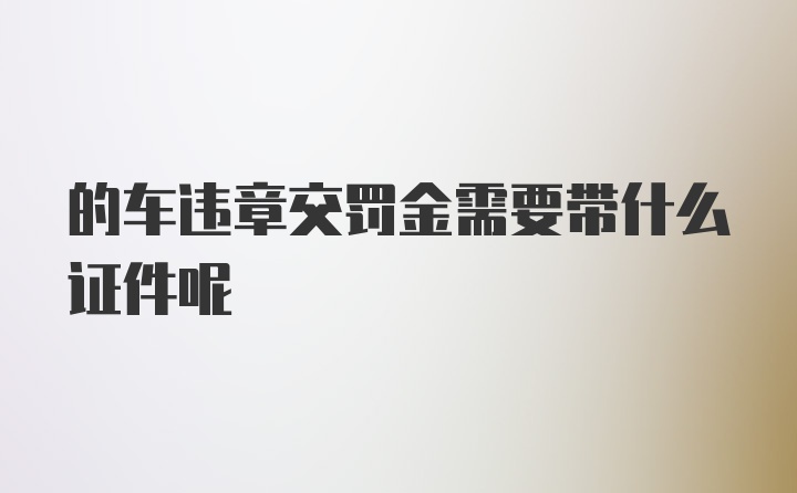 的车违章交罚金需要带什么证件呢