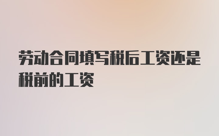 劳动合同填写税后工资还是税前的工资