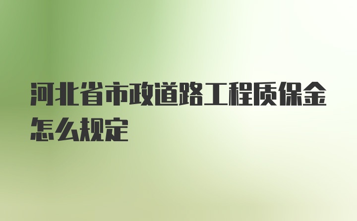 河北省市政道路工程质保金怎么规定