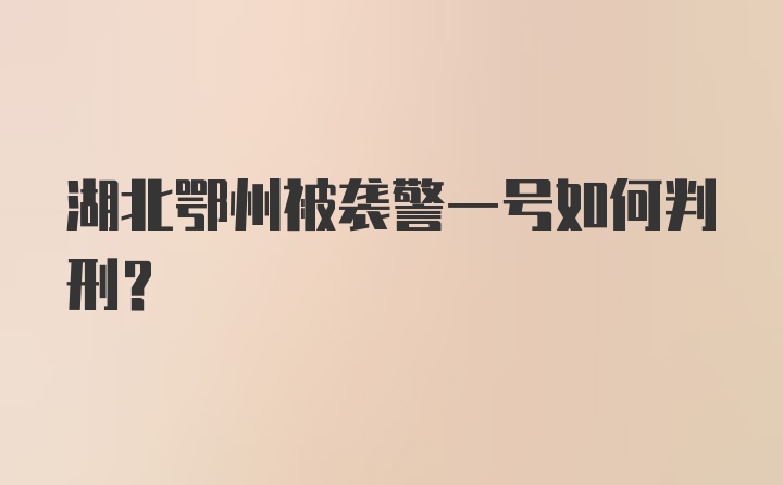 湖北鄂州被袭警一号如何判刑？