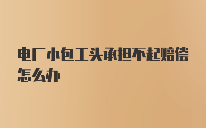 电厂小包工头承担不起赔偿怎么办