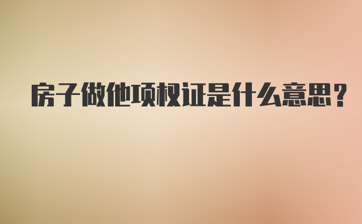 房子做他项权证是什么意思?