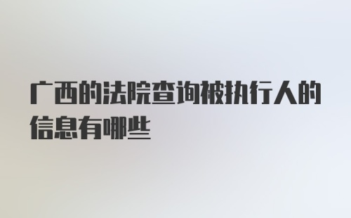 广西的法院查询被执行人的信息有哪些