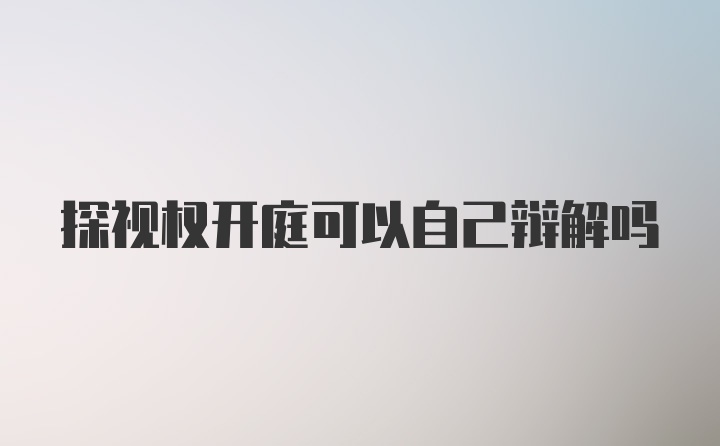 探视权开庭可以自己辩解吗