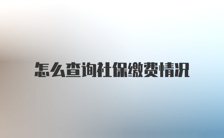 怎么查询社保缴费情况