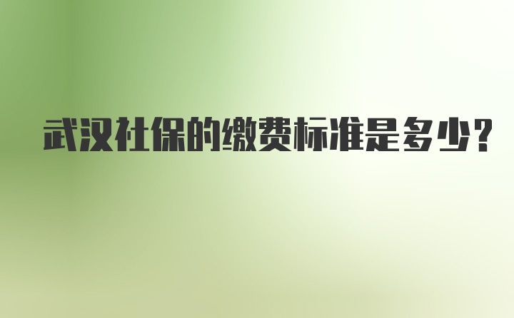 武汉社保的缴费标准是多少？