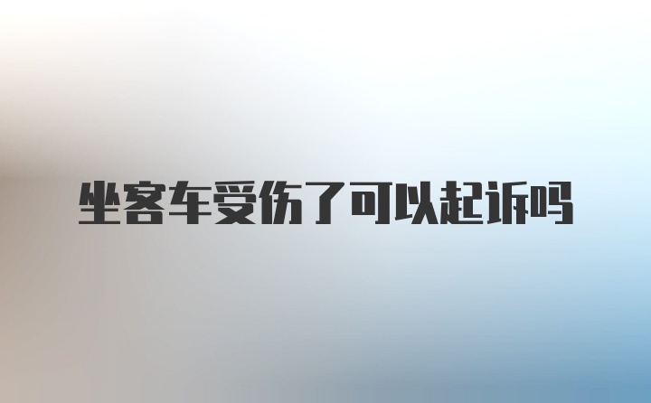 坐客车受伤了可以起诉吗