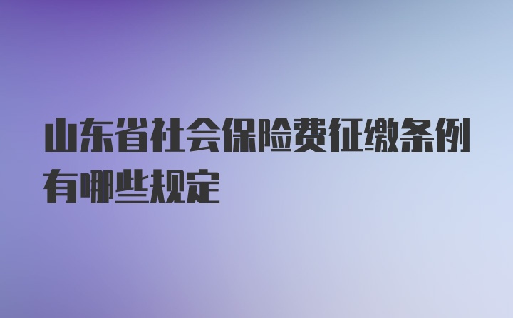 山东省社会保险费征缴条例有哪些规定