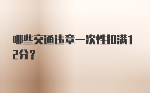 哪些交通违章一次性扣满12分？