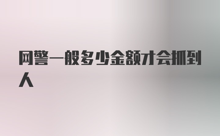 网警一般多少金额才会抓到人